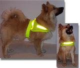 Endurskinsvesti fyrir loðhunda