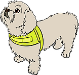 Endurskinsvesti fyrir loðhunda