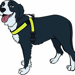 Sporabeisli með endurskini