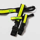 Sporabeisli með endurskini fyrir minna hunda