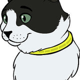 Endurskinsólar á ketti