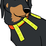 Hálsólar fyrir veiðihunda