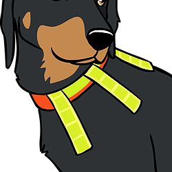 Hálsólar fyrir veiðihunda