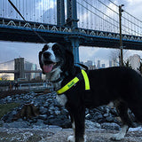 Sporabeisli með endurskini